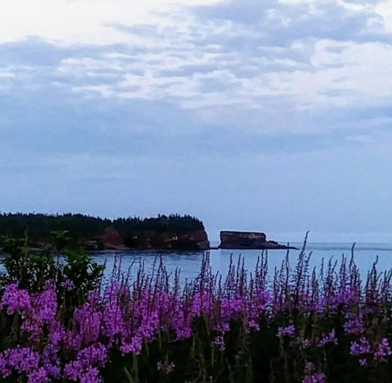 Moore'S Specialties Fundy Bay House Rental Gardner Creek Zewnętrze zdjęcie