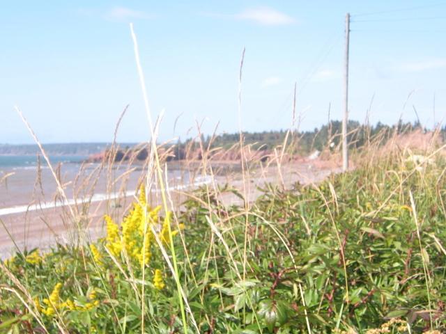 Moore'S Specialties Fundy Bay House Rental Gardner Creek Zewnętrze zdjęcie