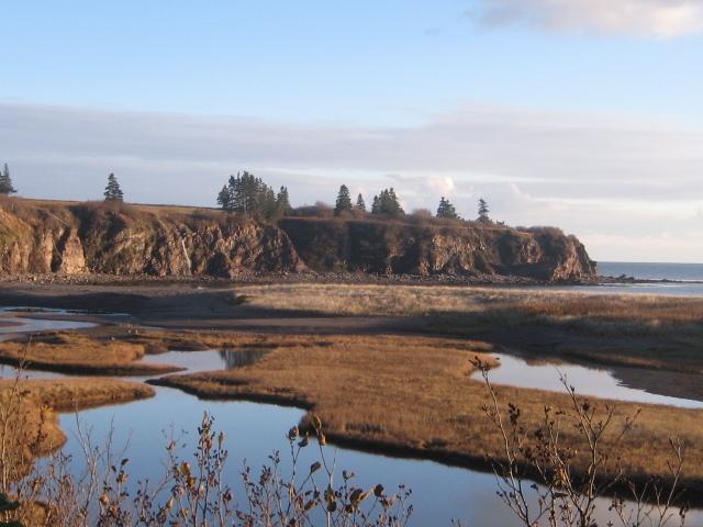 Moore'S Specialties Fundy Bay House Rental Gardner Creek Zewnętrze zdjęcie