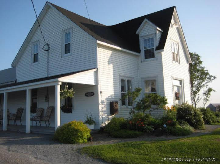 Moore'S Specialties Fundy Bay House Rental Gardner Creek Zewnętrze zdjęcie