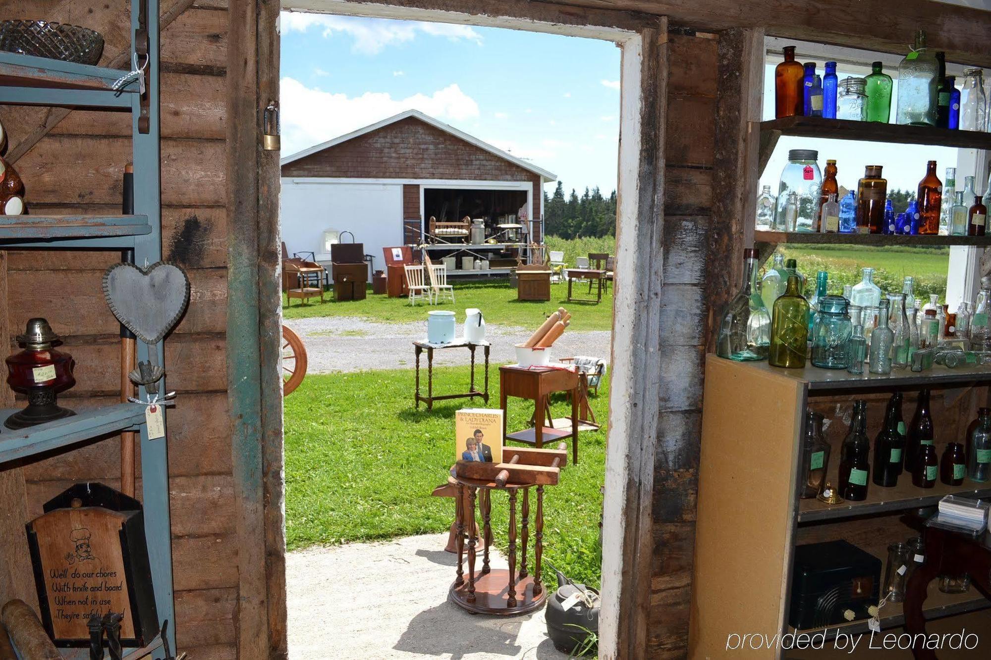Moore'S Specialties Fundy Bay House Rental Gardner Creek Zewnętrze zdjęcie