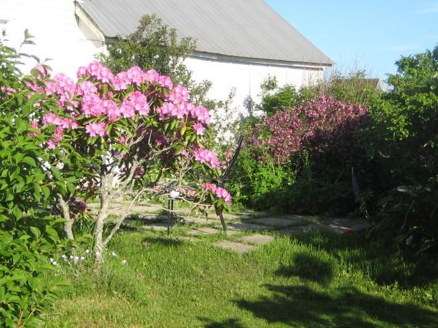 Moore'S Specialties Fundy Bay House Rental Gardner Creek Zewnętrze zdjęcie