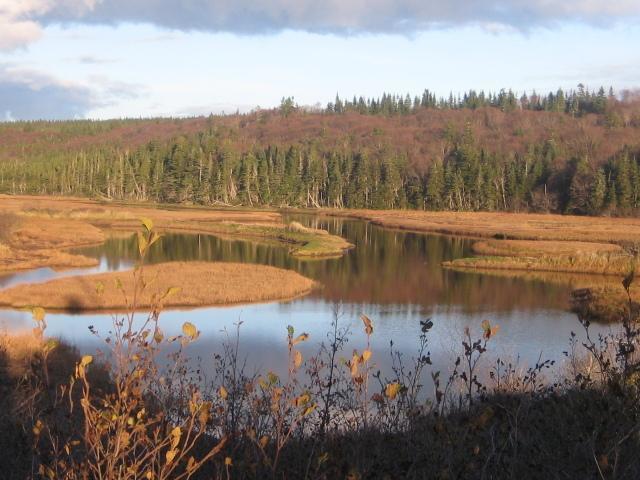 Moore'S Specialties Fundy Bay House Rental Gardner Creek Zewnętrze zdjęcie