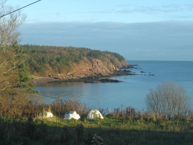 Moore'S Specialties Fundy Bay House Rental Gardner Creek Zewnętrze zdjęcie