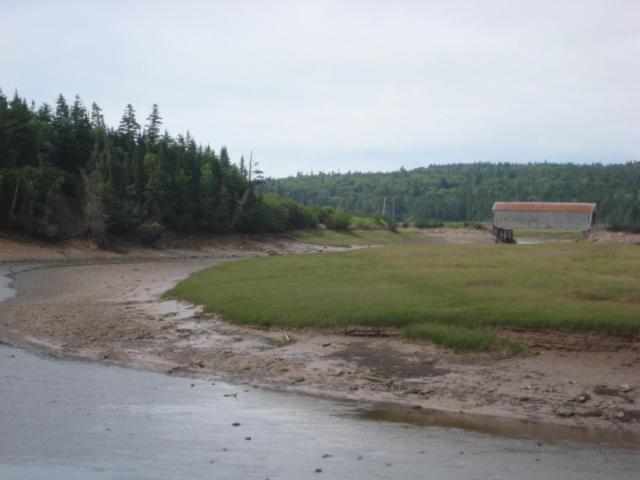 Moore'S Specialties Fundy Bay House Rental Gardner Creek Zewnętrze zdjęcie